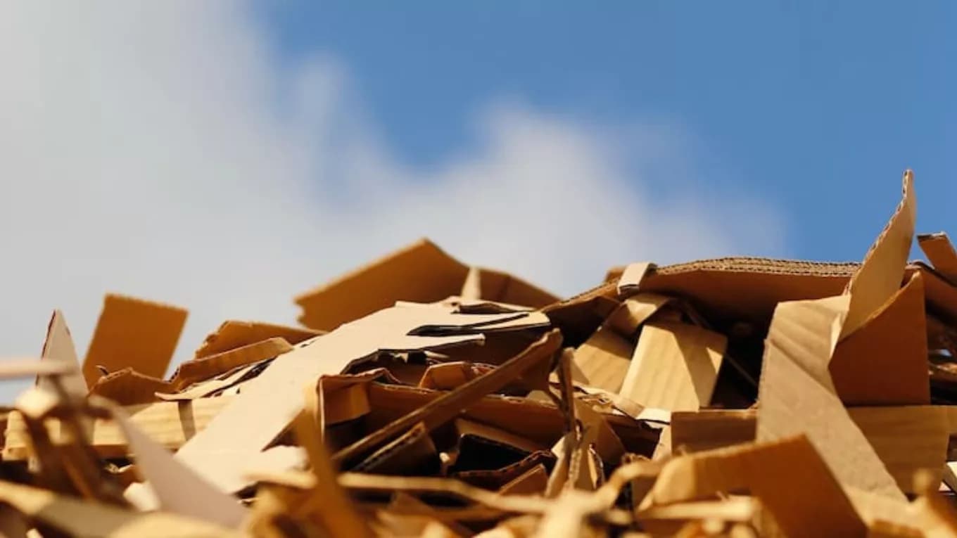 Buying cardboard waste